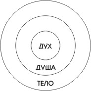 Эта диаграмма показывает три части человека -- Дух, Душу и Тело